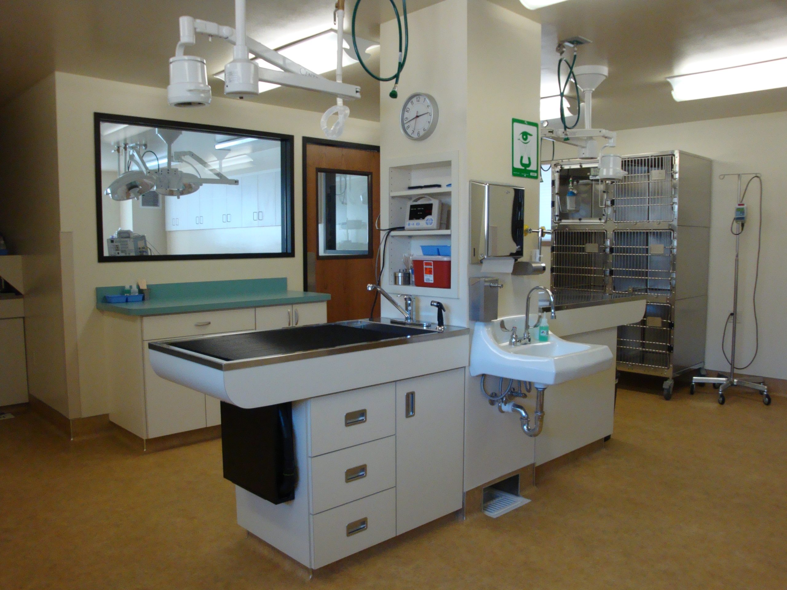 Privately-Owned Feline-Exclusive Practice Seeking Associate Veterinarian – Beautiful Boise, Idaho