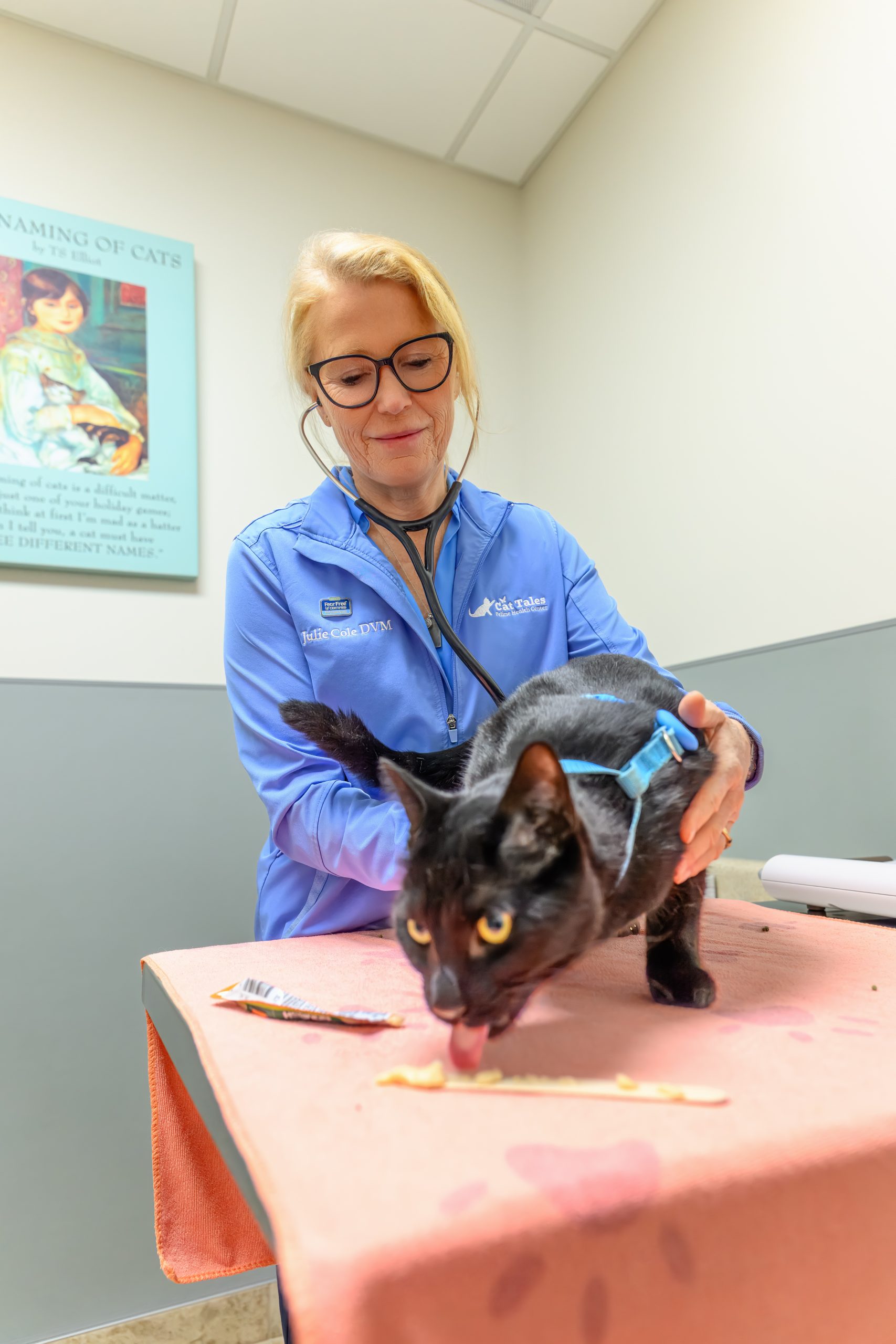 Wanted: Veterinarian for Fear Free Feline Practice in Davis, CA