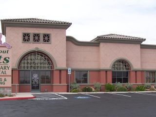 All-About-Cats-Veterinary-Hospital-