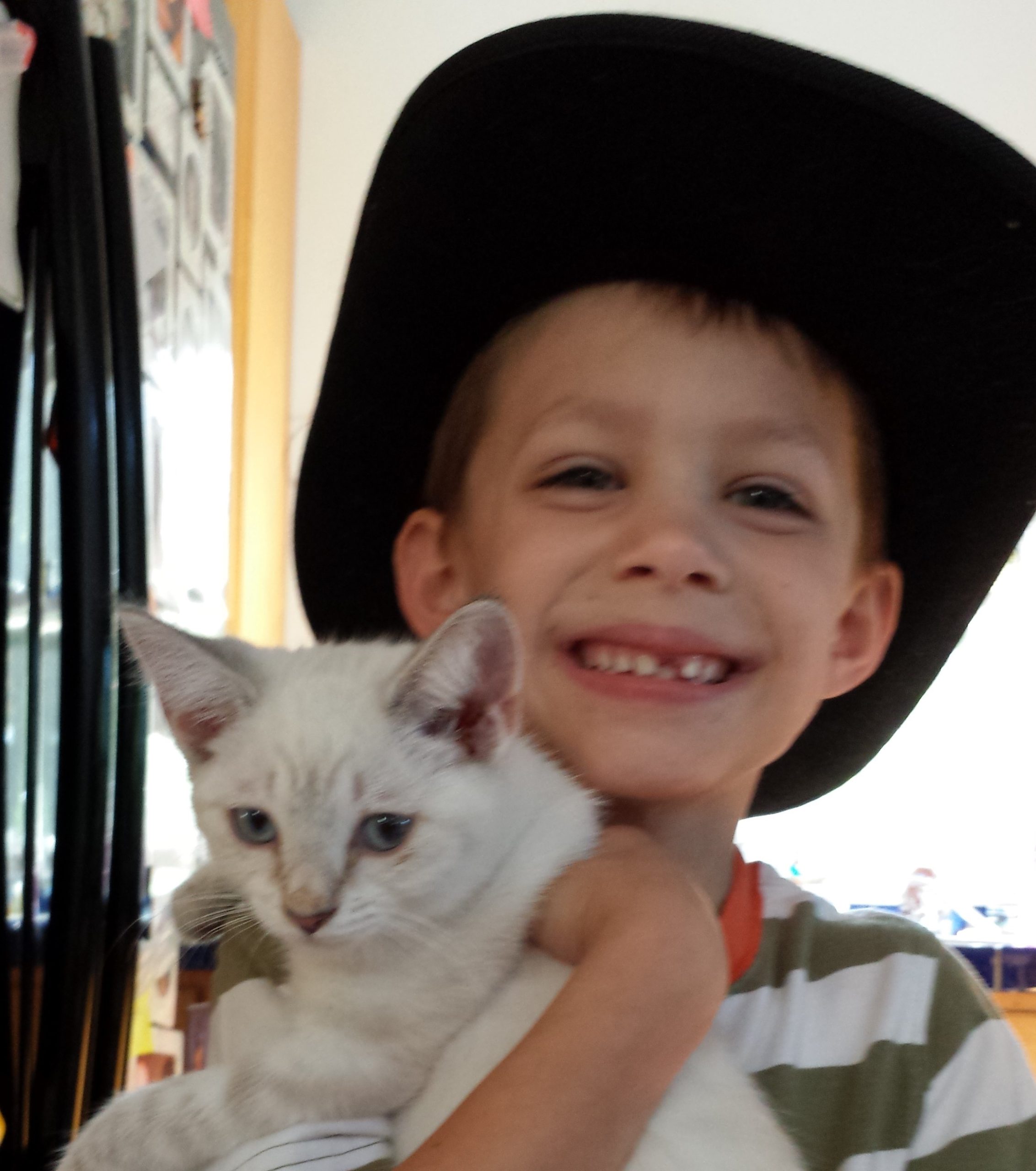 Veterinarian for Private Feline Veterinary Hospital