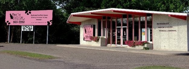 Feline Only – Northwest Louisiana