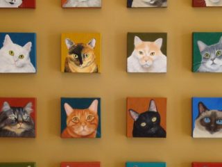 16-Cat-Portraits-Horizontal-2of15-924×462-1
