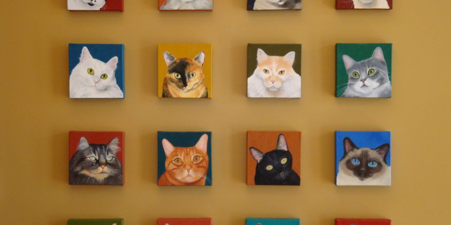 Privately-Owned Feline-Exclusive Practice Seeking PT or FT Associate Veterinarian – Beautiful Boise, Idaho