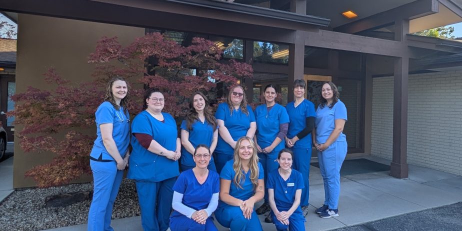 Privately-Owned Feline-Exclusive Practice Seeking PT or FT Associate Veterinarian – Beautiful Boise, Idaho