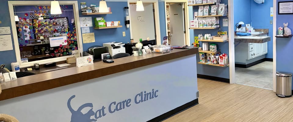 $60k Signing Bonus: Feline Veterinarian or Chief of Staff