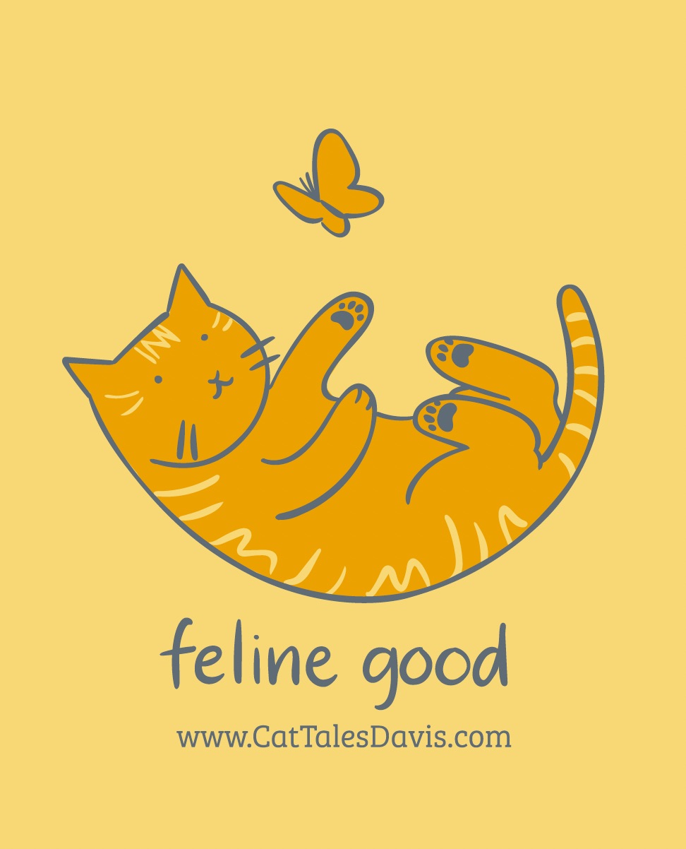 Veterinarian PT for Fear Free Feline Practice in Davis, CA