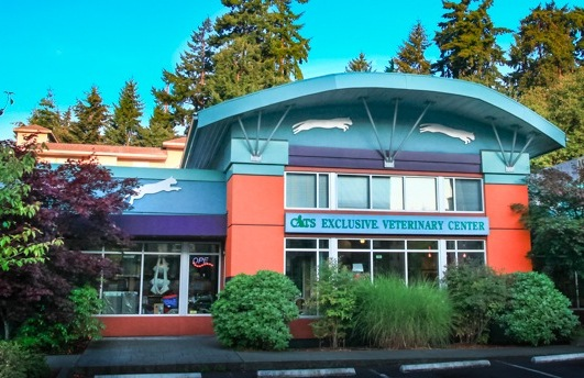 Associate Veterinarian | Feline-Exclusive Medicine | Shoreline, WA