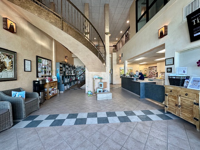 Veterinarian-Purrfect Opportunity in Southern California at our Feline-Only Hospital!