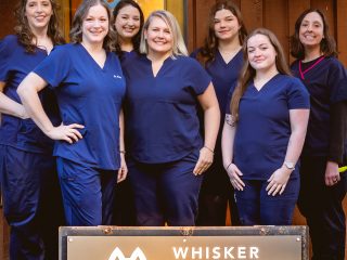 Whisker-Wellness-Center-group-3-2026